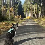 Ladolcevital Im Tiroler Holzhaus Mit Talblick *