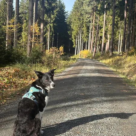 Ladolcevital Im Tiroler Holzhaus Mit Talblick *