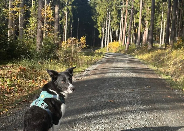 Ladolcevital Im Tiroler Holzhaus Mit Talblick *